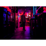 EVIVA 12P - ELECTROVOICE